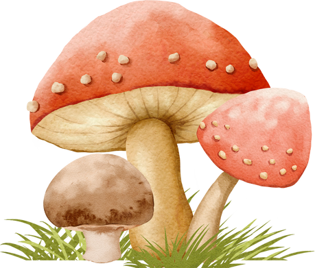 Mushrooms on Grass