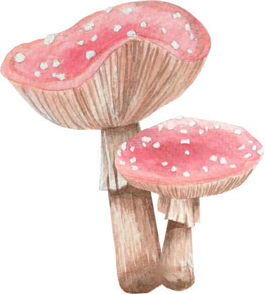 Red Mushroom watercolor